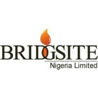 Bridgsite Logo